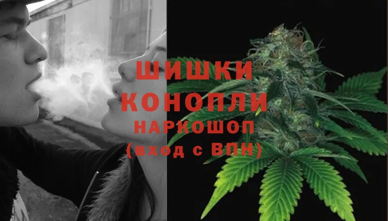 Каннабис White Widow  купить   Мураши 