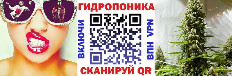 наркота  ОМГ ОМГ как войти  Каннабис SATIVA & INDICA  Мураши 